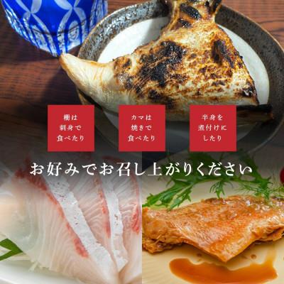 ふるさと納税 南伊勢町 【発送月固定定期便】2・4月 訳あり 伊勢志摩産 海鮮 お宝ボックス 約1.2kg おまかせ全2回 |  | 03