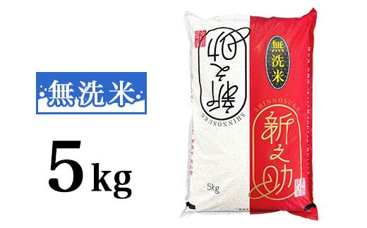 
            48-CR051【無洗米】新潟県長岡産「新之助」5kg
          