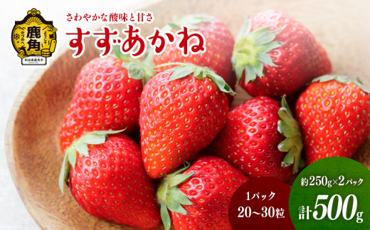 《先行予約》鹿角産いちご「すずあかね」約250g×2パック（1パック:20～30粒入り）【神田農園】●2026年7月上旬発送開始 県産いちご 国産いちご いちご 苺 イチゴ 新鮮 旬 採れたて 贈り物 手作り ケーキ 誕生日 バースデー グルメ デザート 故郷 秋田 あきた 鹿角市 鹿角 農家直送 産地直送