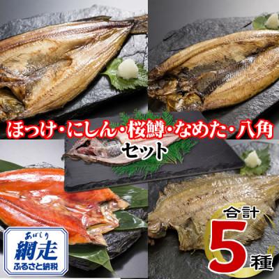 ふるさと納税 網走市 網走加工の一夜干しセット　5種