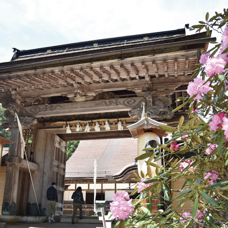 ＜世界遺産高野山＞ 宿坊 宿泊割引チケット 6,000円分