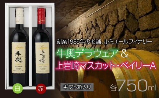 ルミエール　牛奥デラウェア  & 上岩崎マスカット・ベイリーA  【ギフト箱入】　ギフトセット　ワインセット　日本ワイン 063-022