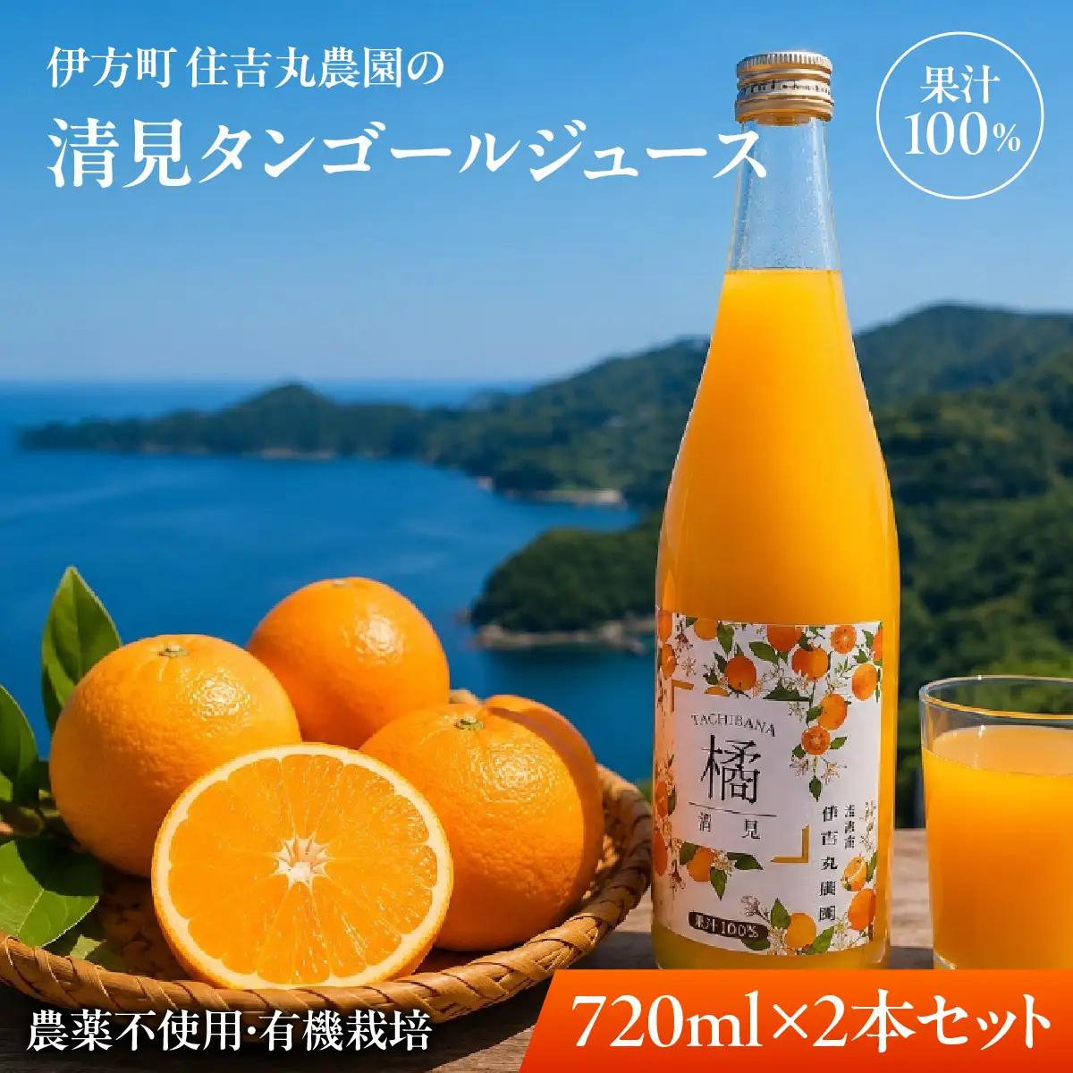 清見タンゴールジュース 720ml×2本 IKTBN001