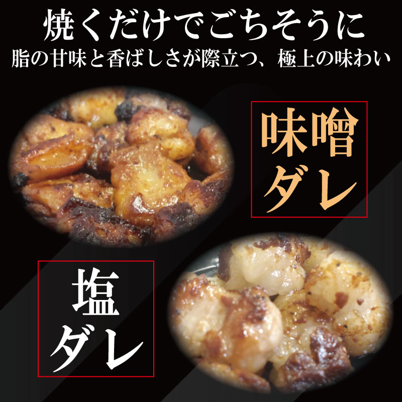 ホルモン 大腸 阿波牛 塩漬け 200g×3パック 小分け 計600g  国産 牛 黒毛和牛 鍋 焼肉 脂 焼き シマチョウ もつ 肉 牛肉 BBQ 【北海道・東北・沖縄・離島への配送不可】