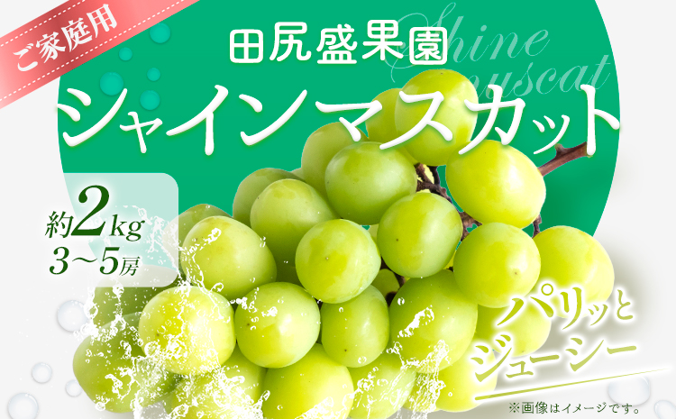 先行予約 ご家庭用 シャインマスカット2kg(3～5房)《2026年8月下旬-9月末頃出荷》田尻盛果園 フルーツ 果物 マスカット ぶどう---osy_ctajihsm_h8_24_13500_12---