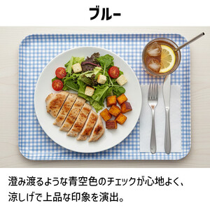 TATSU-CRAFT マグネットトレー M 33cm チェック BL ブルー すべり止め付き ［Tk1083］