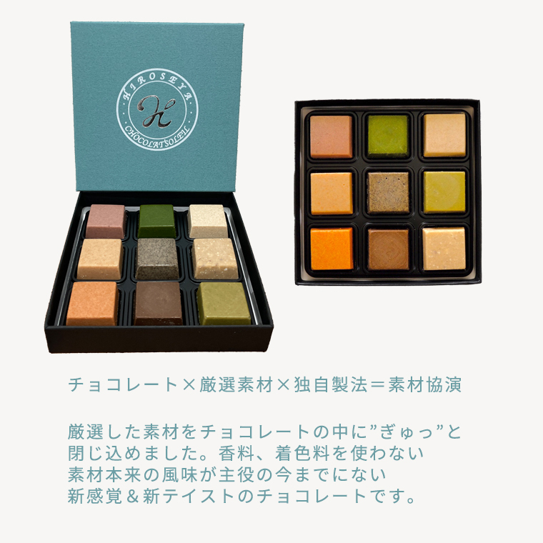 【令和5年1月から発送開始】 ショコラソレイユ 9種 チョコレート チョコ スイーツ デザート 高級 ギフト 贈り物 お礼 プレゼント 手土産 お菓子 [DJ07-NT]_イメージ2