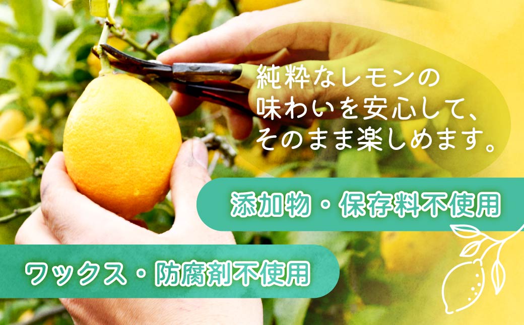 シュガーファームの丸搾りレモン果汁　720ml×1本