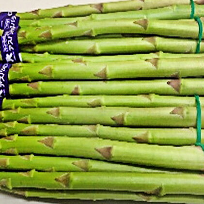 【ふるさと納税】香川県オリジナルアスパラガス「さぬきのめざめ」春芽　500g　野菜　お届け：2025年2月下旬～5月下旬