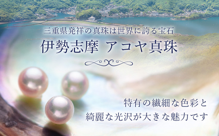 大粒9ミリ　プラチナ　アコヤ真珠　スルーペンダントネックレス／真珠　南伊勢町　パールハヤシ　伊勢志摩