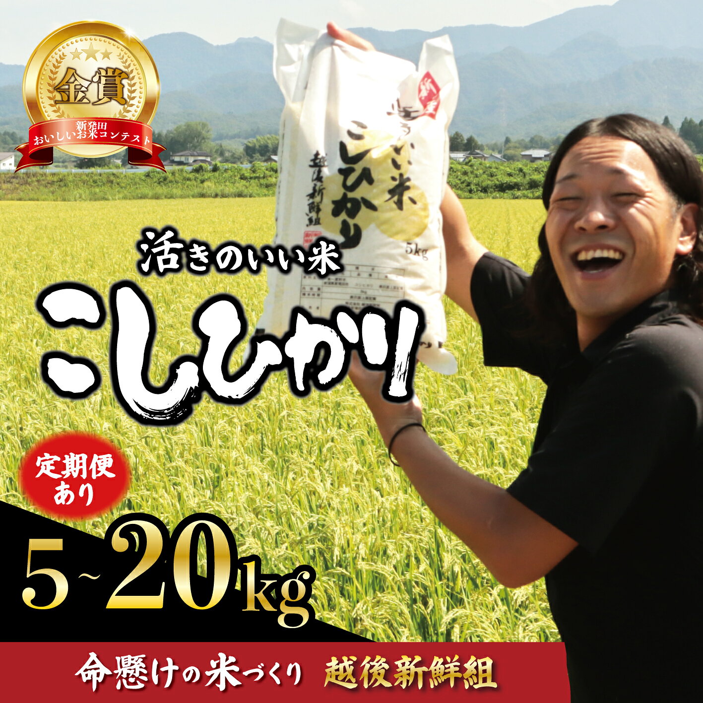 【ふるさと納税】 金賞米 コシヒカリ 5kg 10kg 20kg 新潟 米 先行予約 令和8年産 こしひかり 選べる 配送月 精米 白米 ご飯 おにぎり 弁当 新潟県産 新発田産 お米 こめ 受賞 人気 米 新潟県 新発田市 越後新鮮組 農家直送 shinsengumi001P