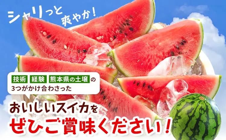 【先行予約】小玉スイカ 2玉 約3㎏ 日本フルーツ株式会社 《4月中旬-7月下旬頃出荷》 こだますいか 西瓜 すいか フルーツ 果物 くだもの 旬 熊本県 菊池市 熊本県産 くまもと