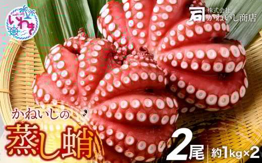【特大】蒸しタコ 2尾 約1kg ×2 ( 丸ごと ) そのまま食べられる！ 刺身 カルパッチョ たこ焼き にも！ 福島県 いわき市 海鮮 魚介 タコ たこ 蛸 かねいし