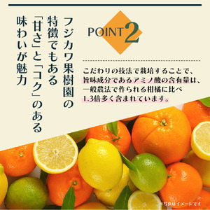 しらぬひ 讃岐 柑橘 デコポン しらぬひ【約3kg】【先行予約】