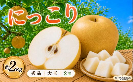 【2026年先行予約】栃木県産 梨 【秀品】にっこり 約2kg(2玉) | にっこり なし ナシ 完熟 果物 フルーツ プレゼント ご褒美 お取り寄せ 贈答 おいしい ジューシー 数量 限定 栃木県産 栃木県 真岡市 減農薬 送料無料【栃木県共通返礼品 栃木県産】