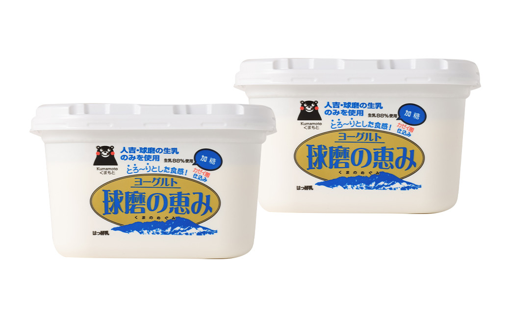 【3ヶ月定期便】球磨の恵みヨーグルト 加糖 1kg×2パック×3回  合計6kg 