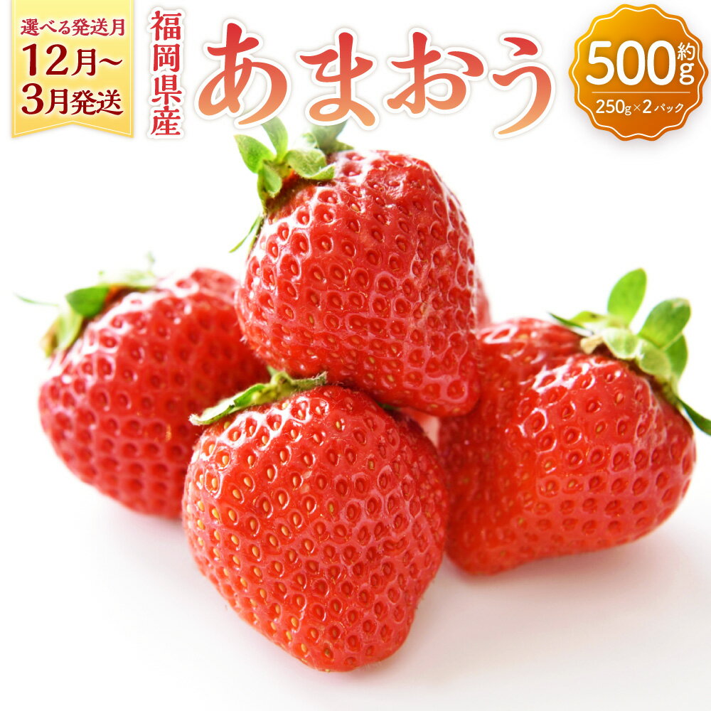 【ふるさと納税】【選べる発送月】福岡県産 あまおう 約500g 約250g×2パック 果物 フルーツ いちご 苺 イチゴ ストロベリー ベリー おやつ デザート 福岡県産 九州産 送料無料 【2025年12月上旬～2026年3月下旬順次発送予定】