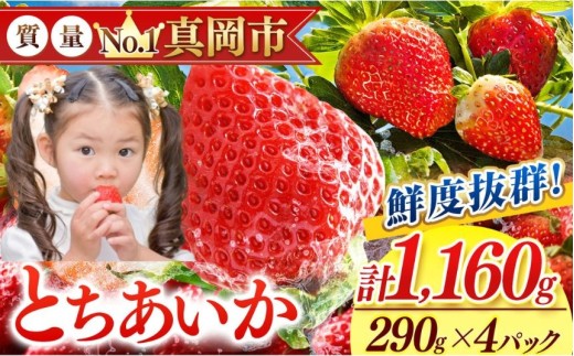 鮮度抜群 とちあいか 2箱 (290g×4) 1160g  |  選べる 容量 2箱 日本一 産地 大粒 冬 味覚 いちご 苺 イチゴ ストロベリー 大きい  ハート 美味しい 果汁 ジューシー 甘い あまい 甘味 たっぷり 大容量 | 人気 レビュー 栃木県 真岡市 送料無料