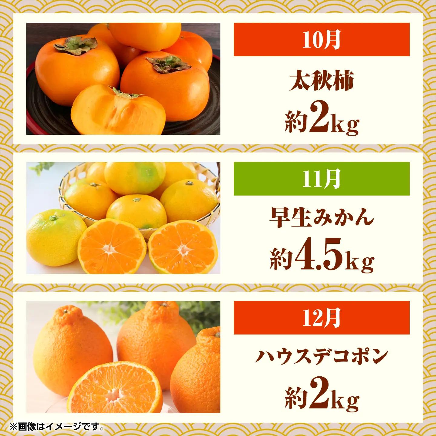 【先行予約】フルーツ10ヶ月定期便　10月～7月　ZBG078