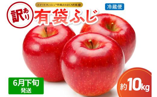 【2026年6月下旬発送】【訳あり】りんご10kg有袋ふじ【スマートフレッシュTM貯蔵またはCA貯蔵・クール便】