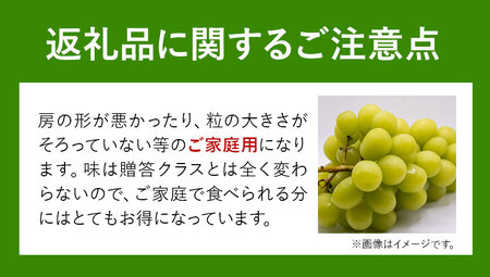 ご家庭用 シャイン マスカット 3～5房 (合計2kg以上)【配送不可地域あり】 OEC KINGDOMぶどう家 《8月下旬-10月中旬頃出荷》岡山県 浅口市 ぶどう 果物