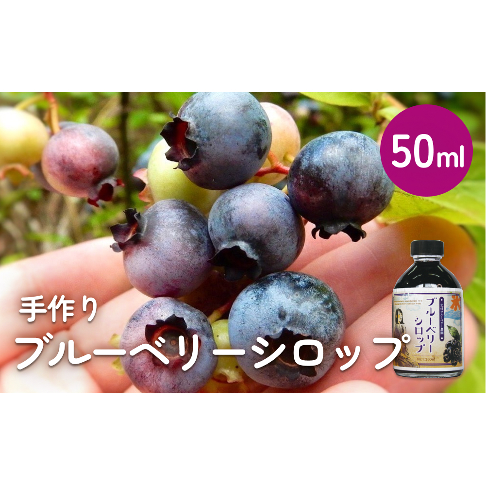 ＜ 先行予約 ＞ ブルーベリー シロップ50ml 手作り 果汁 フルーツ かき氷 カクテル アレンジ