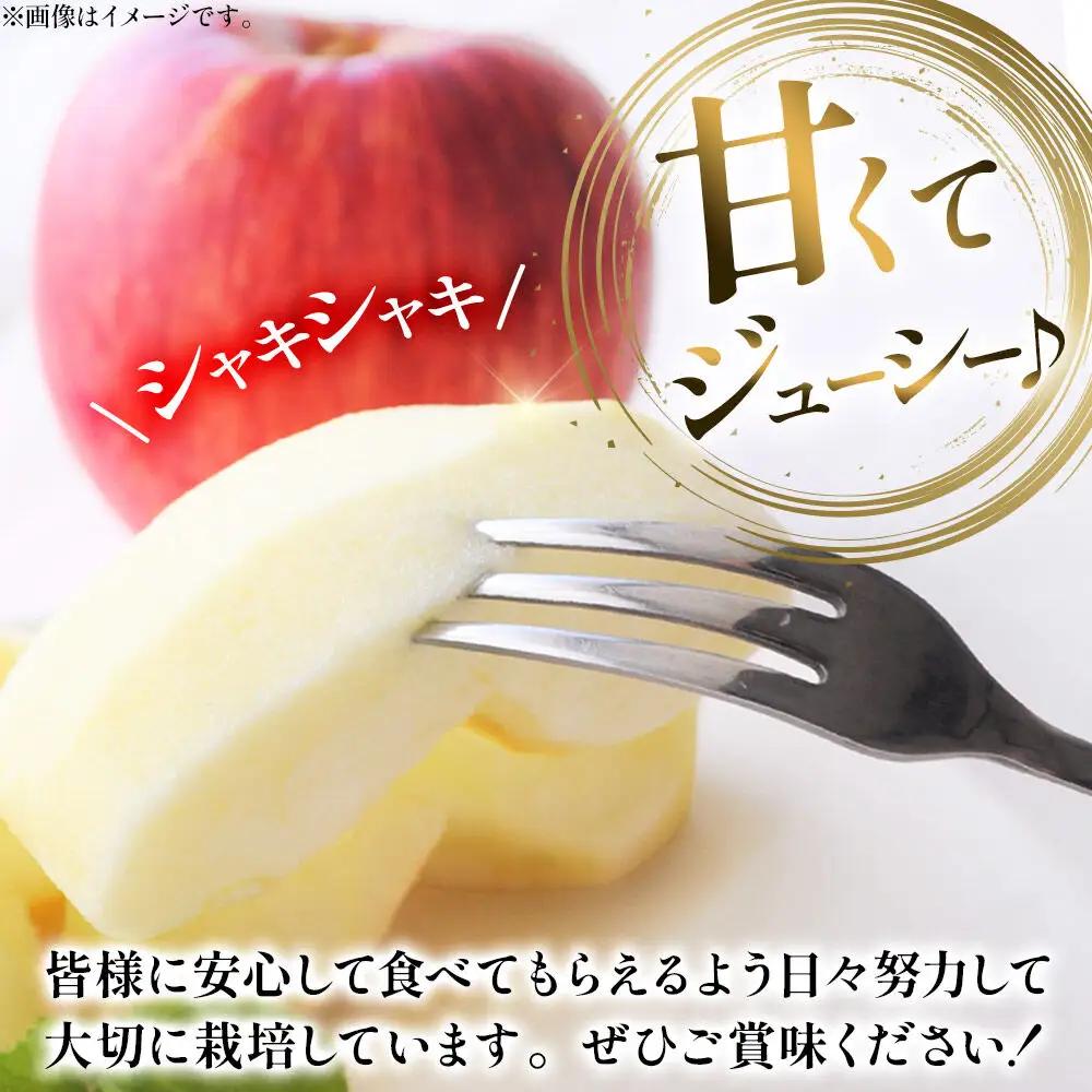 りんご 葉とらず サンふじ 家庭用 約10kg【11月下旬～発送】りんご