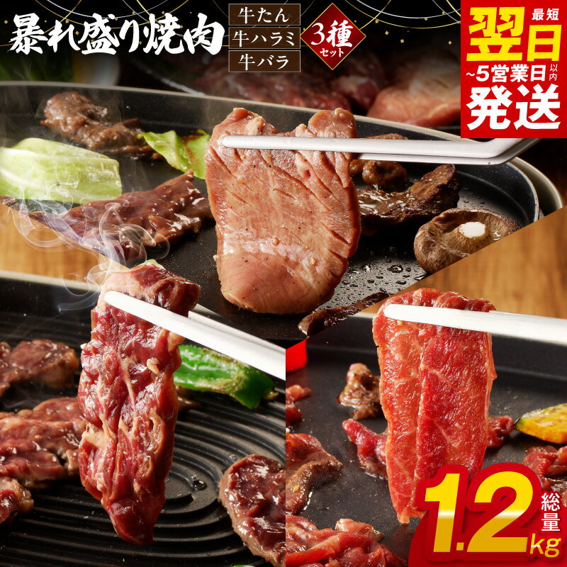 【ふるさと納税】訳あり 暴れ盛り 焼肉 3種 食べ比べ セット 総量 1.2kg 各 400g 牛タン / 牛ハラミ / バラ タン 塩タン ハラミ バラ肉 タレ漬け サイズ不揃い 牛肉 肉 お肉 焼き肉 BBQ 最短 翌日発送 5営業日 大阪府 泉佐野市 冷凍 送料無料 肉の泉佐野