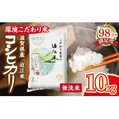 ふるさと納税 近江八幡市 【7年産】近江米 環境こだわり米 コシヒカリ 無洗米 【10kg×1】