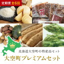 【ふるさと納税】 大空町プレミアムセット全6回 ふるさと納税 チーズ 乳製品 カマンベール チェダー ゴーダ スモーク モッツァレラ セット 詰合せ 定期配送 定期便 北海道 大空町 送料無料 OSA025