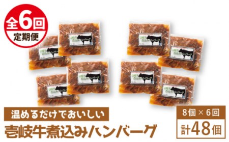 【全6回定期便】壱岐牛煮込みハンバーグ [JBW024] 210000 210000円 21万円 コダワリハンバーグ こだわりハンバーグ おすすめハンバーグ おススメハンバーグ 人気ハンバーグ 定番ハ