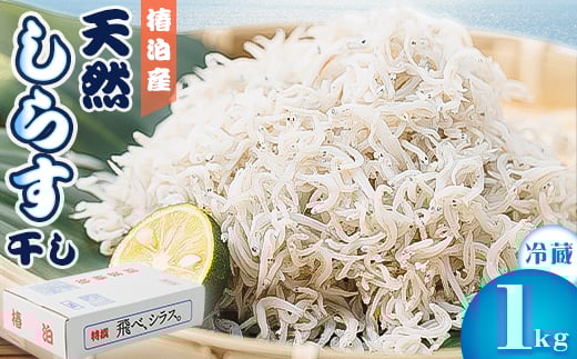 
＜冷蔵＞天然しらす干し1kg　おすそ分けに人気【1386282】

