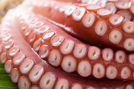 北海道留萌産 冷凍煮たこ足 2kg～2.4kg　