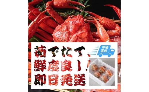 757.【ボイル】≪2025年11月発送≫ 特撰 松葉がに【ブランドタグ付き】（900g超×3杯)