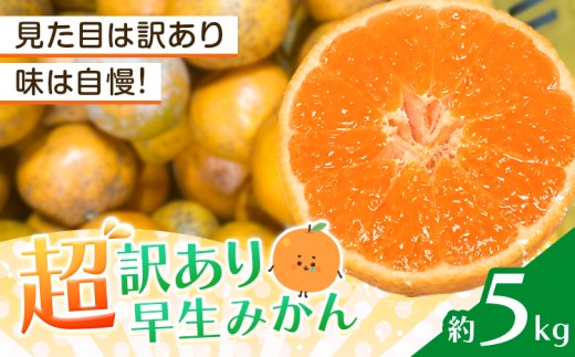 みかん 超訳あり早生みかん 約5kg 《12月上旬-2月上旬頃出荷》 和歌山県 日高川町 みかん ミカン 早生みかん 蜜柑 柑橘 訳あり 果物 くだもの フルーツ 青果物