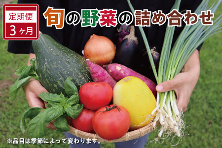 野菜定期便【3ヶ月連続】定期便 旬の野菜詰め合わせ 6～7品以上 ja1