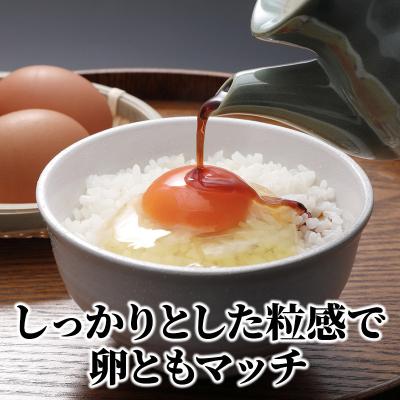 ふるさと納税 安芸高田市 米 【3ヶ月お届け】令和7年産　安芸高田市産コシヒカリ5kg 精米定期便 [No5895-0199] |  | 02