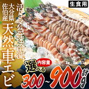 【ふるさと納税】＜内容量が選べる＞天然 活き〆車エビ 生食用 (300g・計900g) エビ 海老 車海老 冷凍 刺身 さしみ 天ぷら 塩焼 バーベキュー 国産 大分県産 大分県 佐伯市 やまろ渡邉【DL18・DL19】【鶴見食賓館】