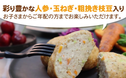 ヘルシー！みつせ鶏ふんわり豆腐ハンバーグ 計10個（5個×2パック） 【スピード発送】  吉野ヶ里町/ヨコオフーズ [FAE163]