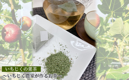 いちじく葉茶 植物茶 ティーバッグ ドーフィン品種 いちじく葉茶
