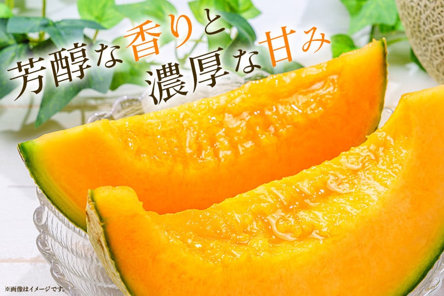 【数量限定・期間限定】 おみたまレノンメロン 赤肉 2玉 メロン 秀品 めろん 果物 フルーツ 茨城県産 52-C 【4月20日まで受付・4月～5月上旬順次発送予定】