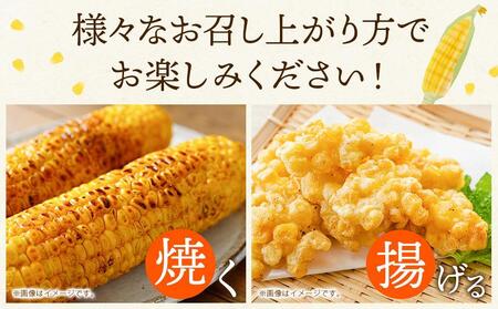 【先行予約】露地とうもろこし　合計12本　2025年8月下旬から発送開始予定 【とうもろこし 人気 北海道産 糖度 生 野菜 スイートコーン 産地直送 バーベキュー BBQ コーン 旬 お取り寄せ 旭