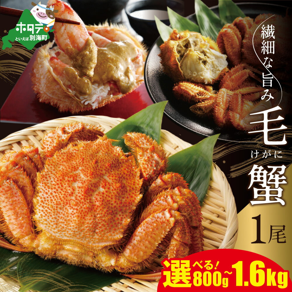 【ふるさと納税】【楽天限定】 高評価★5.0 毛蟹 1尾 選べる 約 800g - 1.6kg （ ふるさと納税 毛ガニ ふるさと納税 毛蟹 かに カニ ふるさと納税 蟹 毛ガニ 毛がに けがに 浜ゆで 1杯 ふるさと納税 訳あり ガニ ボイル 海鮮 魚介 ふるさと 贈答 プレゼント 北海道 別海町 ）