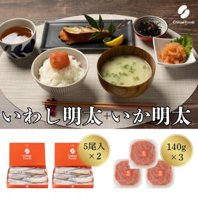 ふるさと納税 宗像市 食卓応援 いか明太・いわし明太子セット【ちかえフーズ】_HA1662