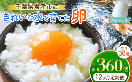 【12回定期便】2週間以内に発送 きれいな水で育てた卵 アローカナ 30個 | 早く届く すぐ すぐ発送 保坂農場  あろーかな 卵 たまご 君津市産 千葉 君津 きみつ 房総