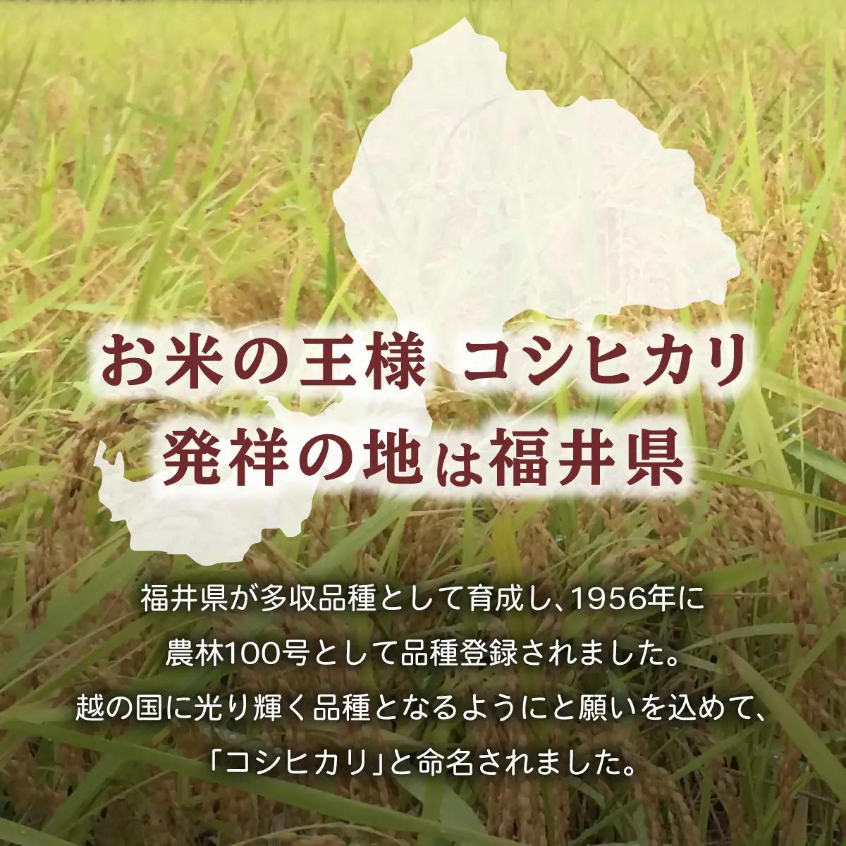 令和7年産 福井県産 『コシヒカリ』5kg  [003-a001-A]