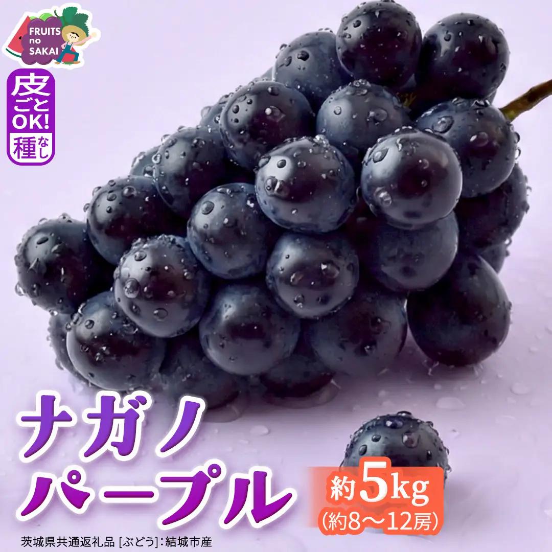 ナガノパープル 約5kg （約8～12房）【2026年9月より発送開始】（茨城県共通返礼品 [ぶどう]：結城市産）