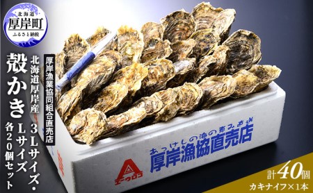 厚岸産牡蠣 3L・L 各20個セット ブランド牡蠣