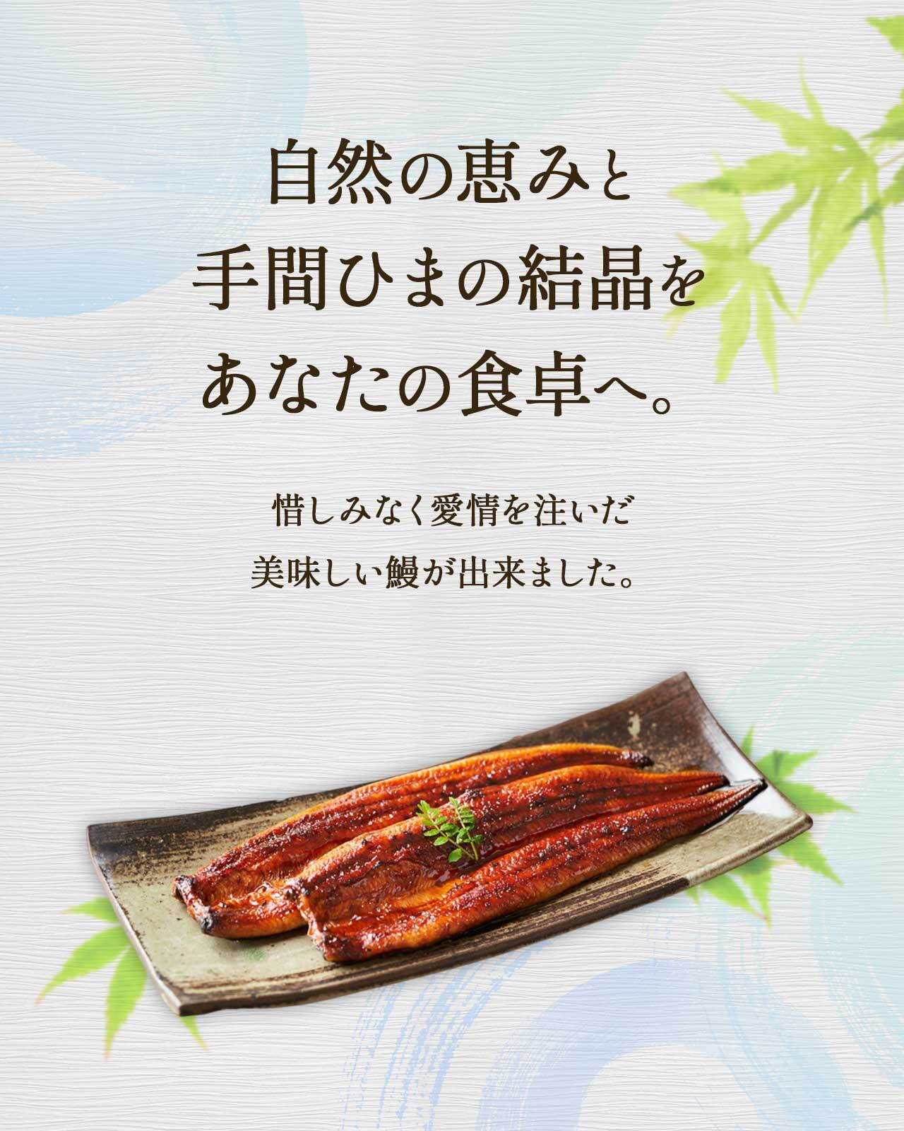 ふるさと納税限定 鹿児島県大崎町産 国産 うなぎ長蒲焼 2尾 計320g以上 | 鰻 うなぎ蒲焼き うな重 ひつまぶし ウナギ 蒲焼 人気 おすすめ 鹿児島 大隅半島 DU001