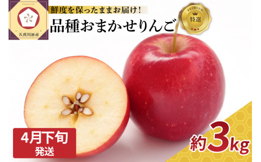【2026年4月下旬発送】 特選 丸かじり青森りんご 3kg程度 品種おまかせ1種（スマートフレッシュ貯蔵またはCA貯蔵）